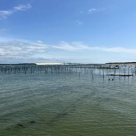 Apartman Entre Terre Et *