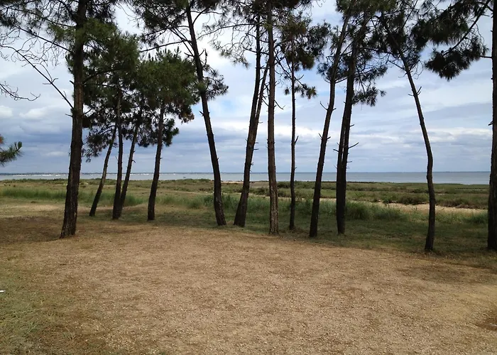Entre Terre Et Apartman Lège-Cap-Ferret