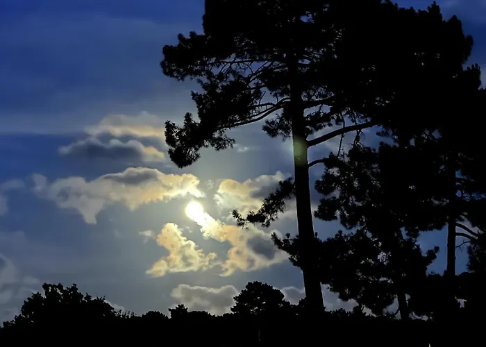 Entre Terre Et Διαμέρισμα *